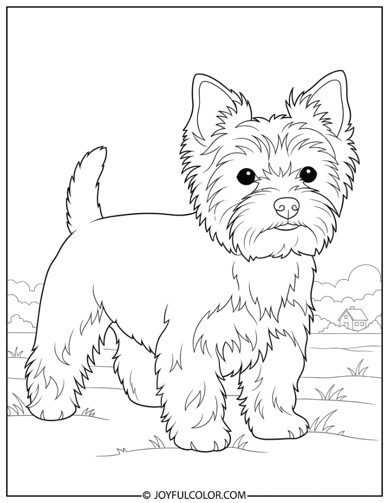 Tail Up Yorkshire Terrier Coloring Page