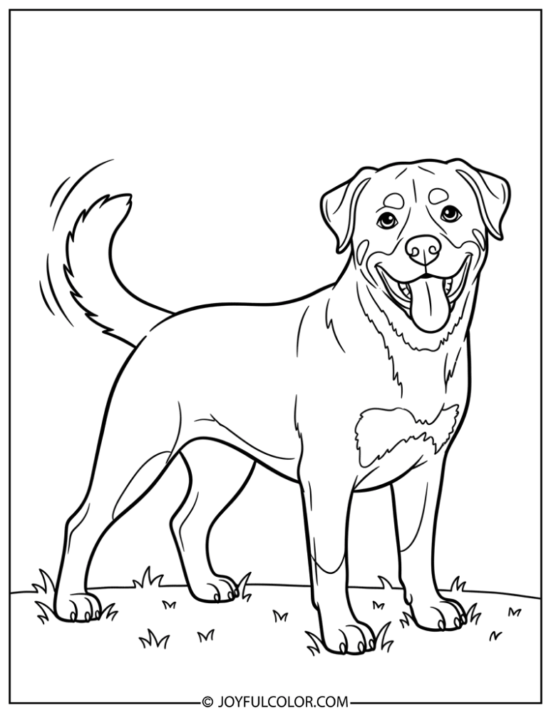 Tail Wagging Rottweiler Coloring Page