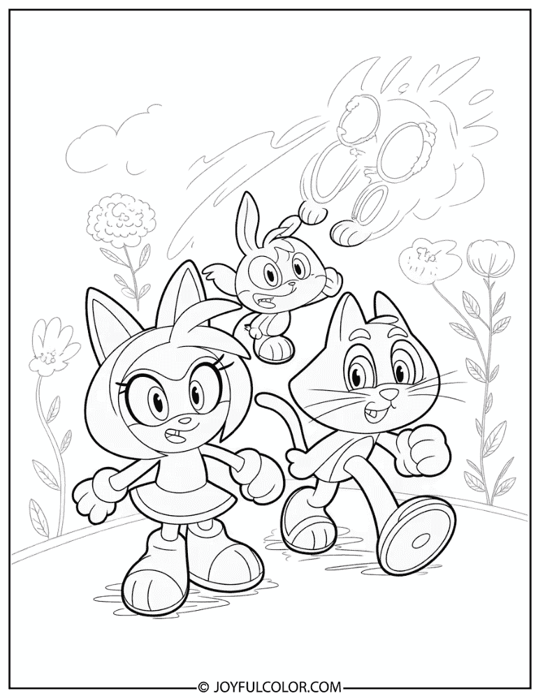 Team Rose Sonic Heroes Coloring Page
