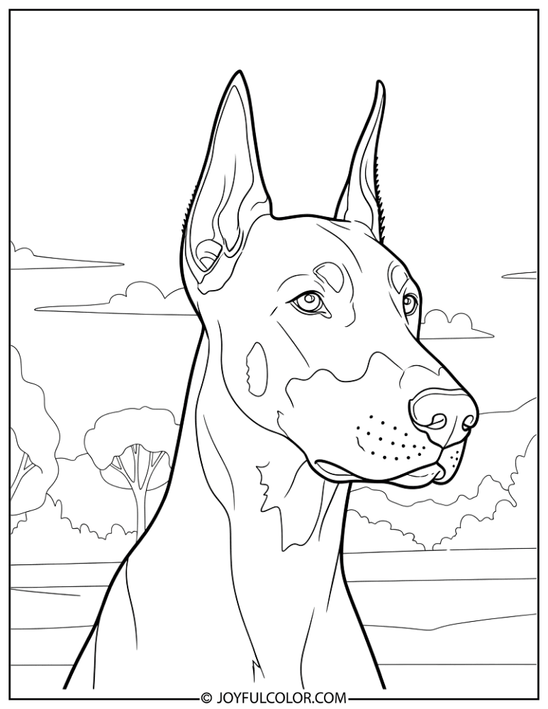Thick Line Doberman Coloring Page