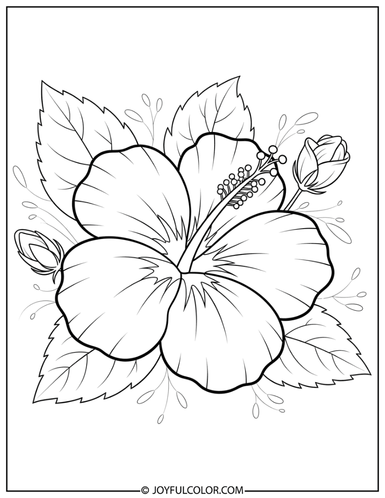 Thick Line Hibiscus Coloring Page
