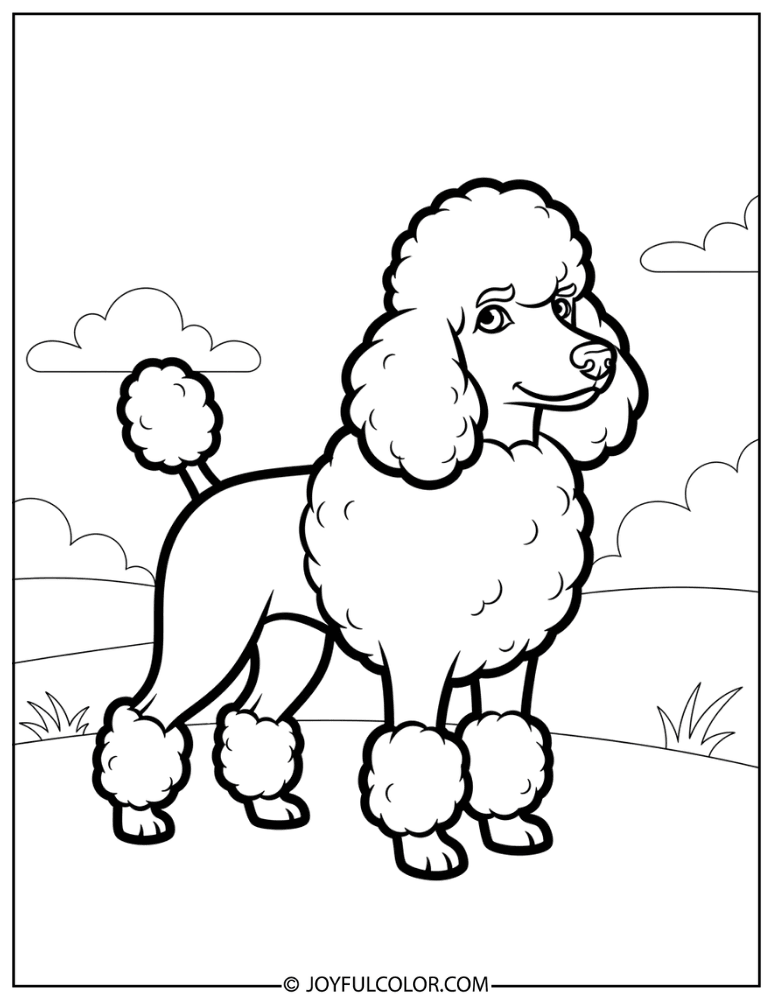 Thick Line Poodle Coloring Page