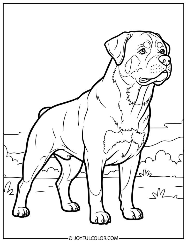 Thick Line Rottweiler Coloring Page