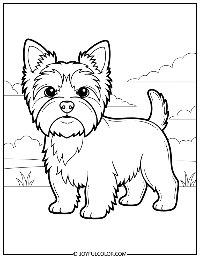 Thick Line Yorkie Coloring Page