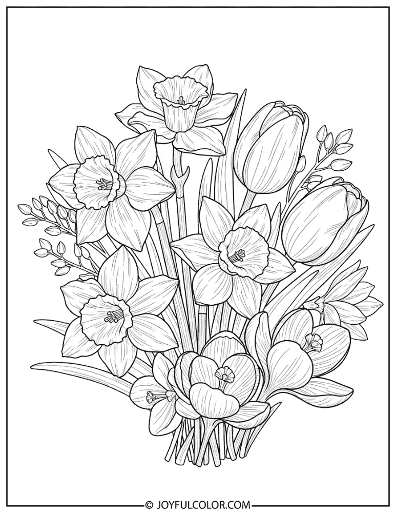Thick Outline Daffodil Coloring Page