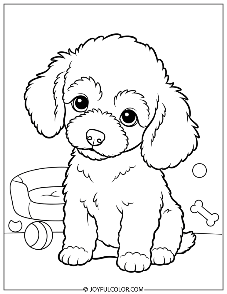 Tiny Puppy Poodle Coloring Page