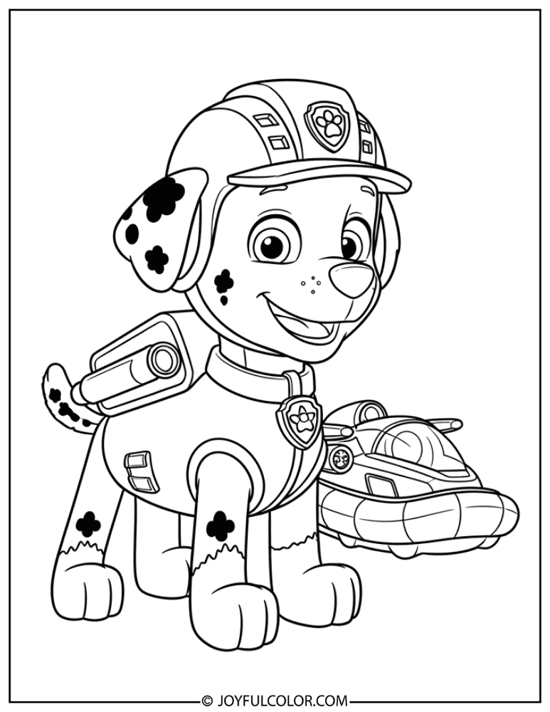 Toddler-Friendly Zuma