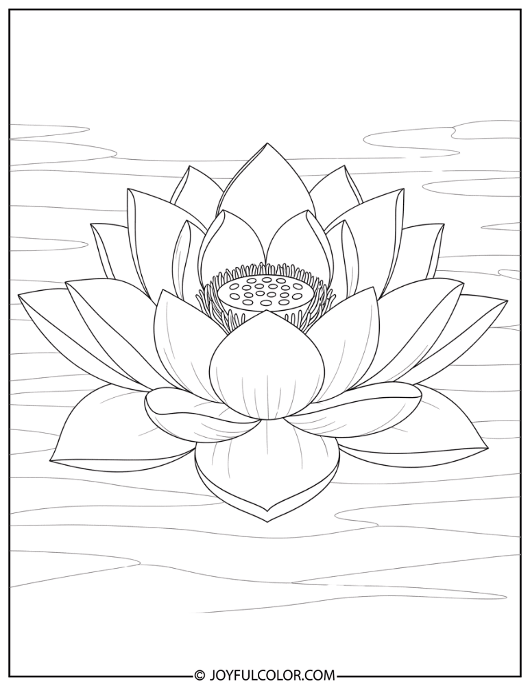 Traditional Sacred Lotus Coloring Page
