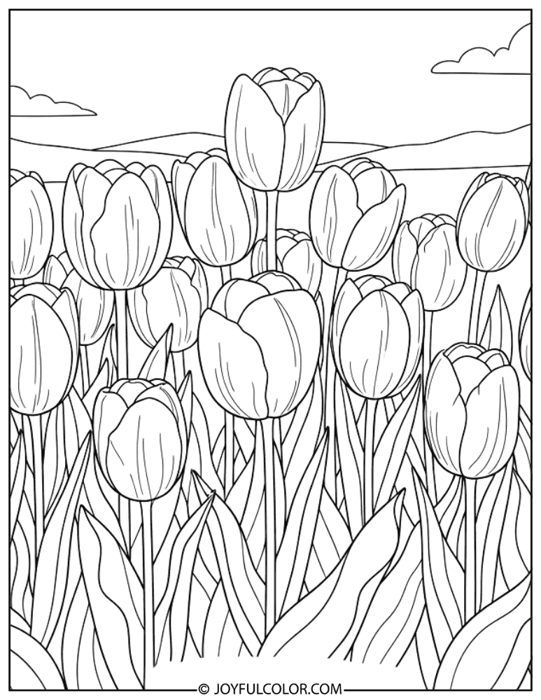Tulip Garden Spring Flower Coloring Page