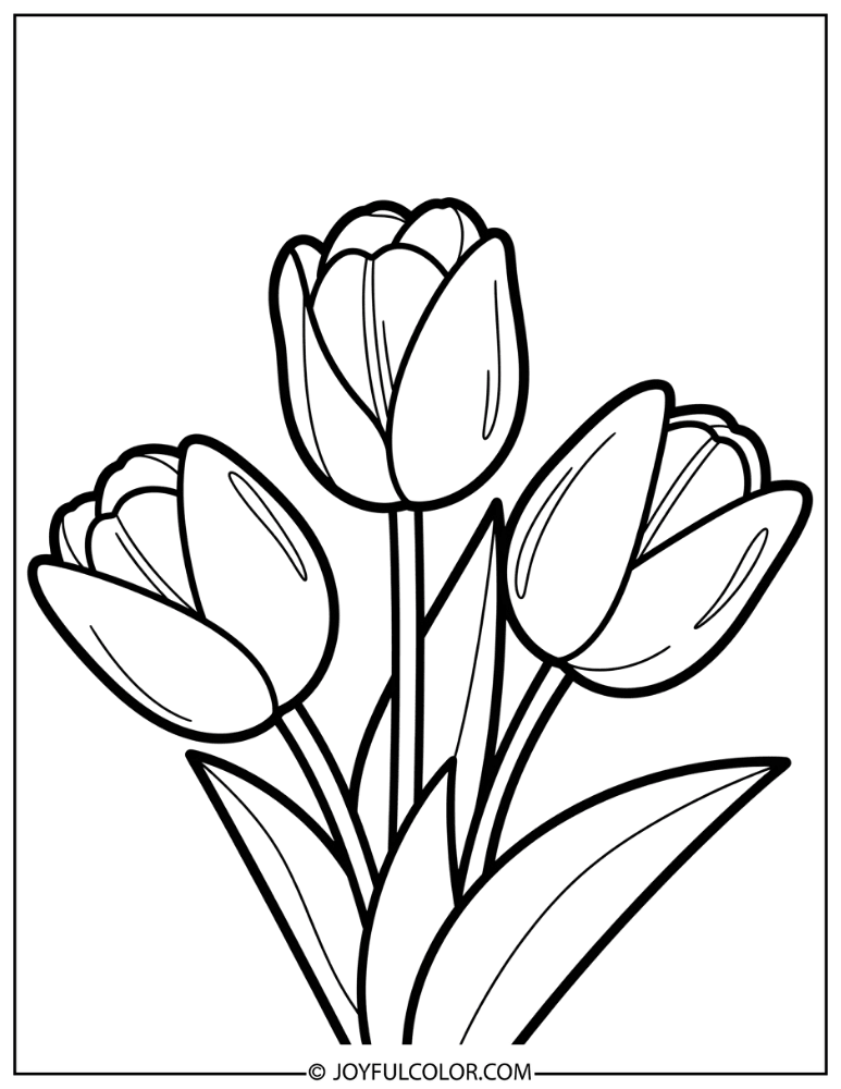 Tulip Trio Garden Flower Coloring Page