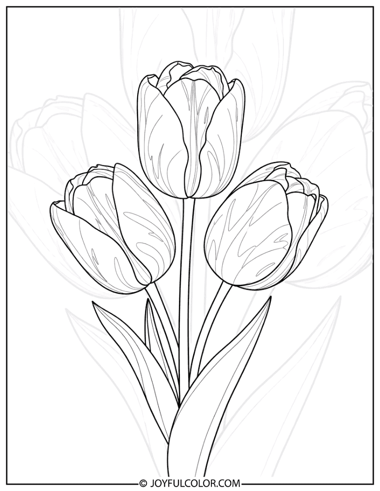 Tulip Trio Spring Coloring Page