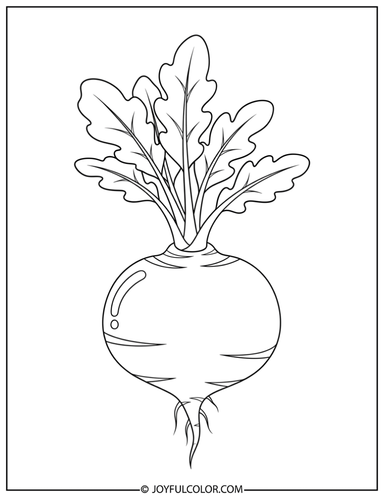 Turnip Coloring Page