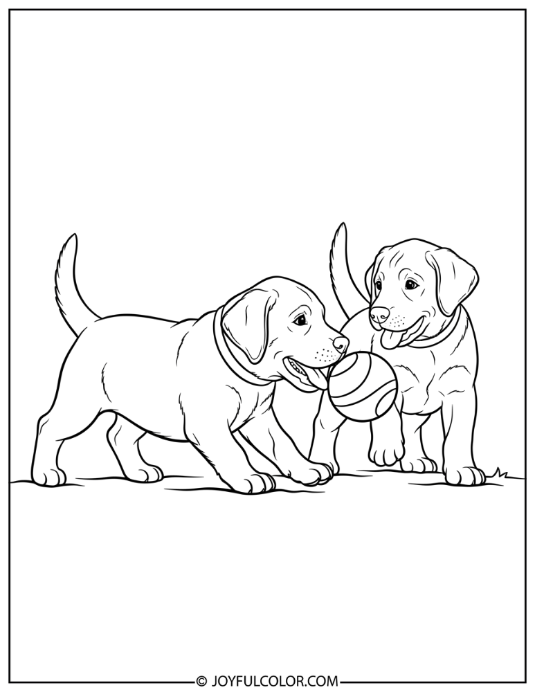 Two Lab Puppies Playing Coloring Page