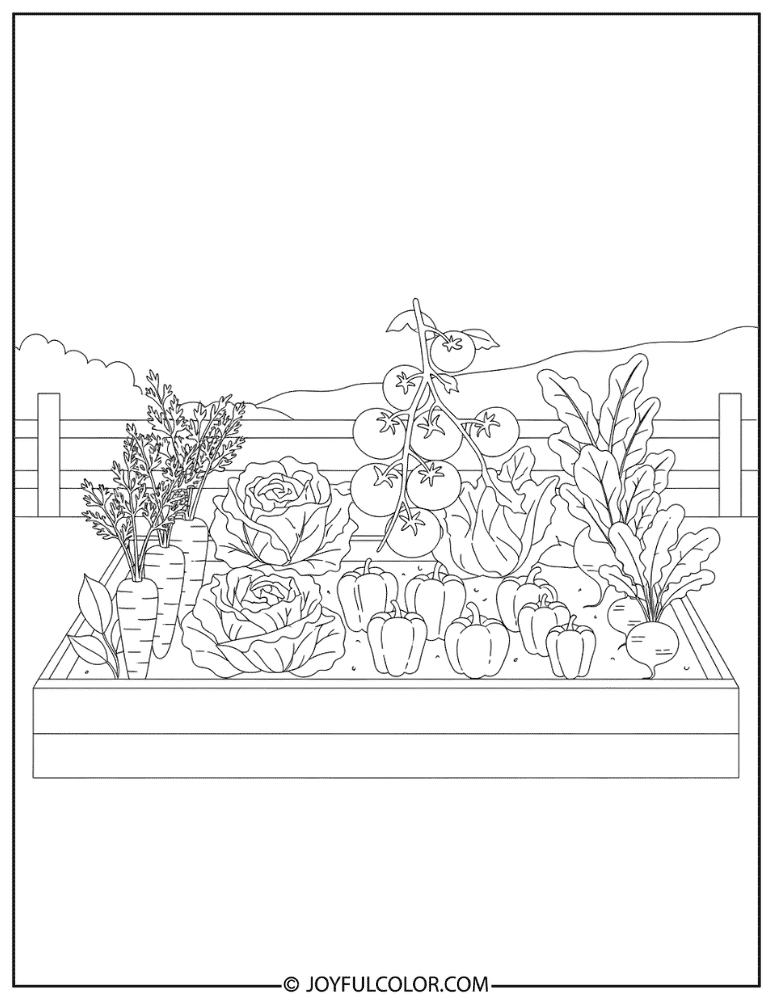 Vegetable Garden Bed Coloring Page