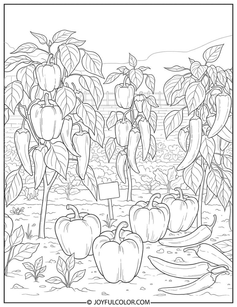 Vegetable Garden with Peppers Coloring Page