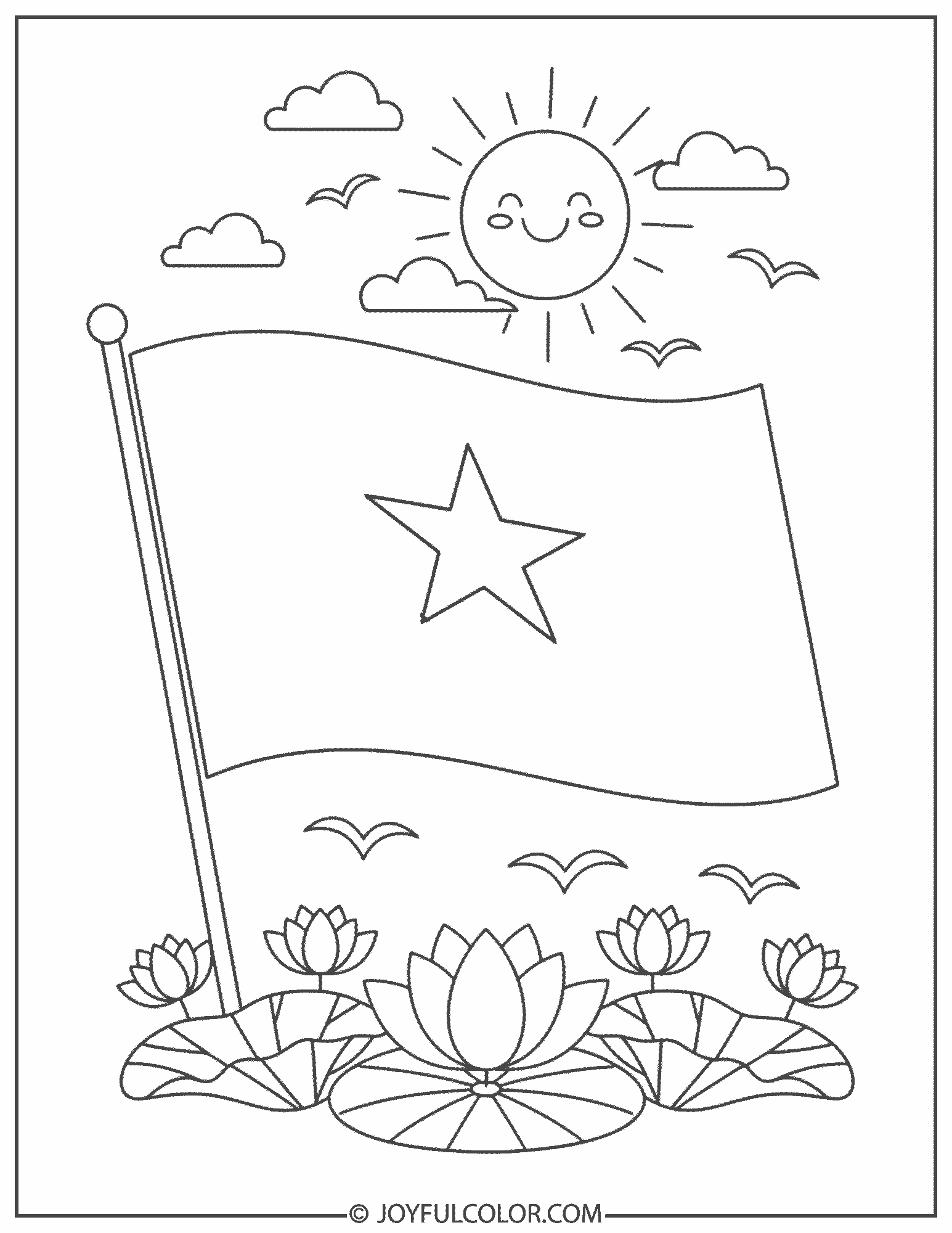 Vietnam Flag and Smiling Sun 2