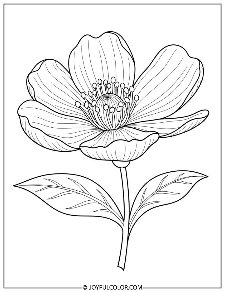 Vintage Botanical Garden Flower Coloring Page