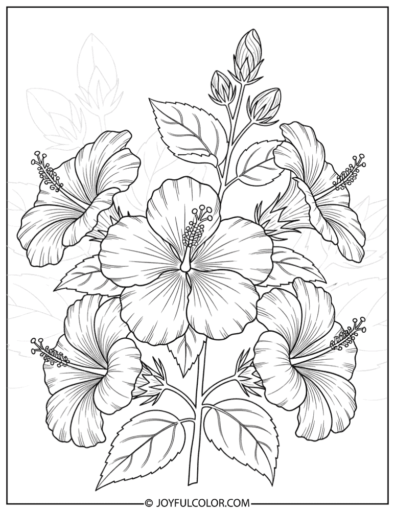 Vintage Engraved Hibiscus Coloring Page