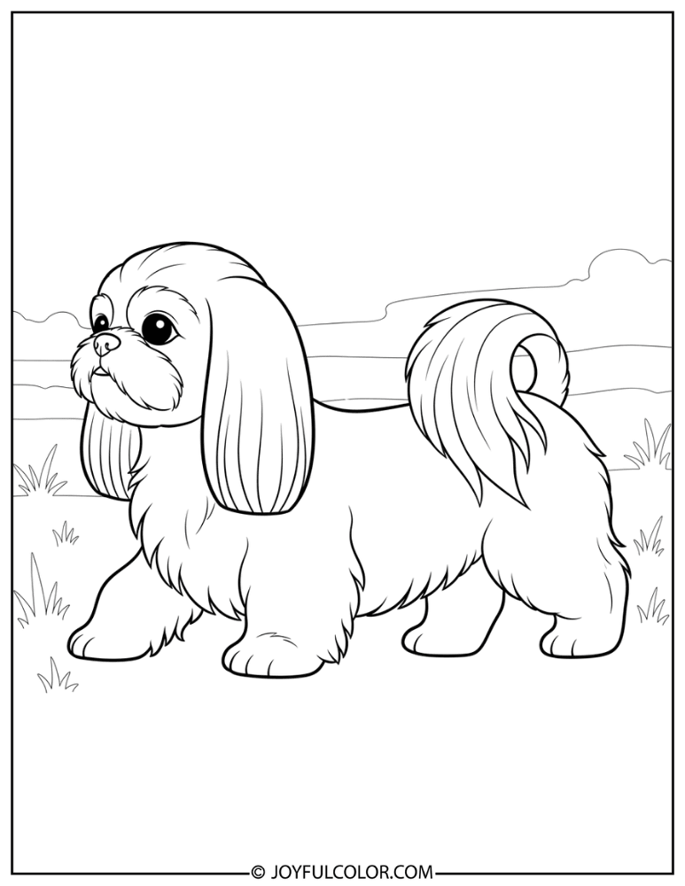 Walking Shih Tzu Coloring Page