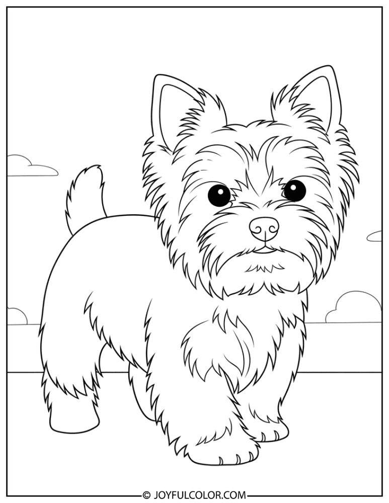Walking Yorkshire Terrier Coloring Page