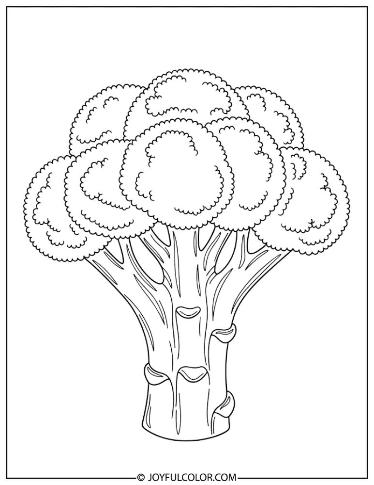 Whole Broccoli Stalk Coloring Page