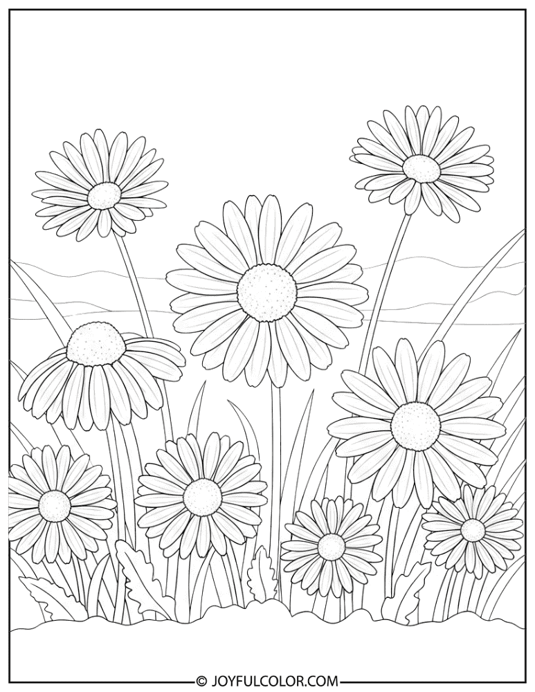 Wild Daisy Illustration Coloring Page