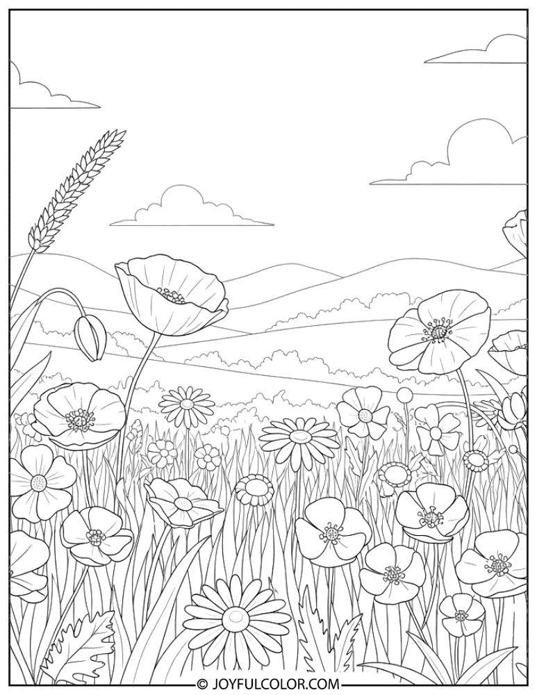 Wildflower Field Sketch Coloring Page