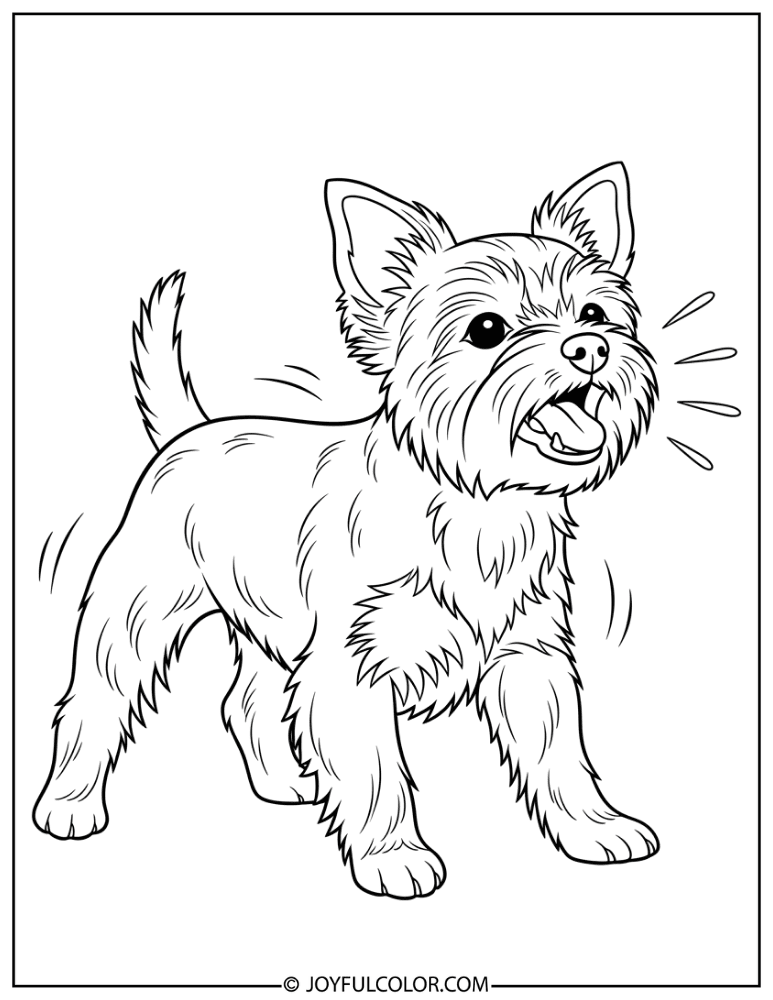 Yorkie Barking Coloring Page