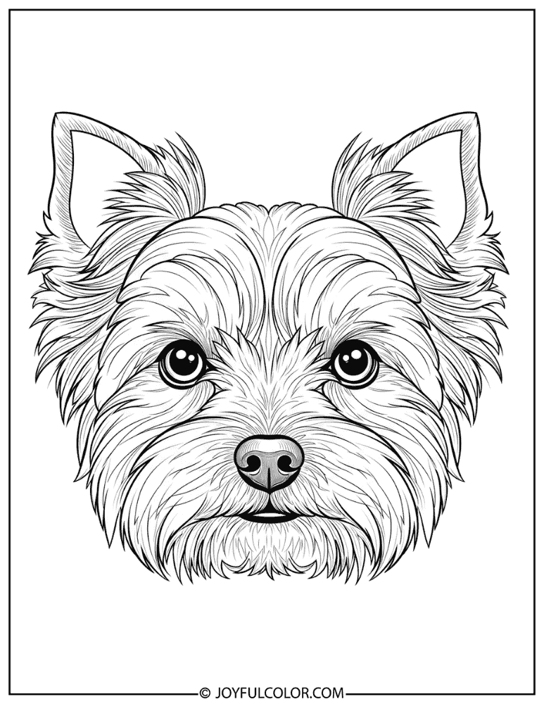 Yorkie Face Close-Up Coloring Page