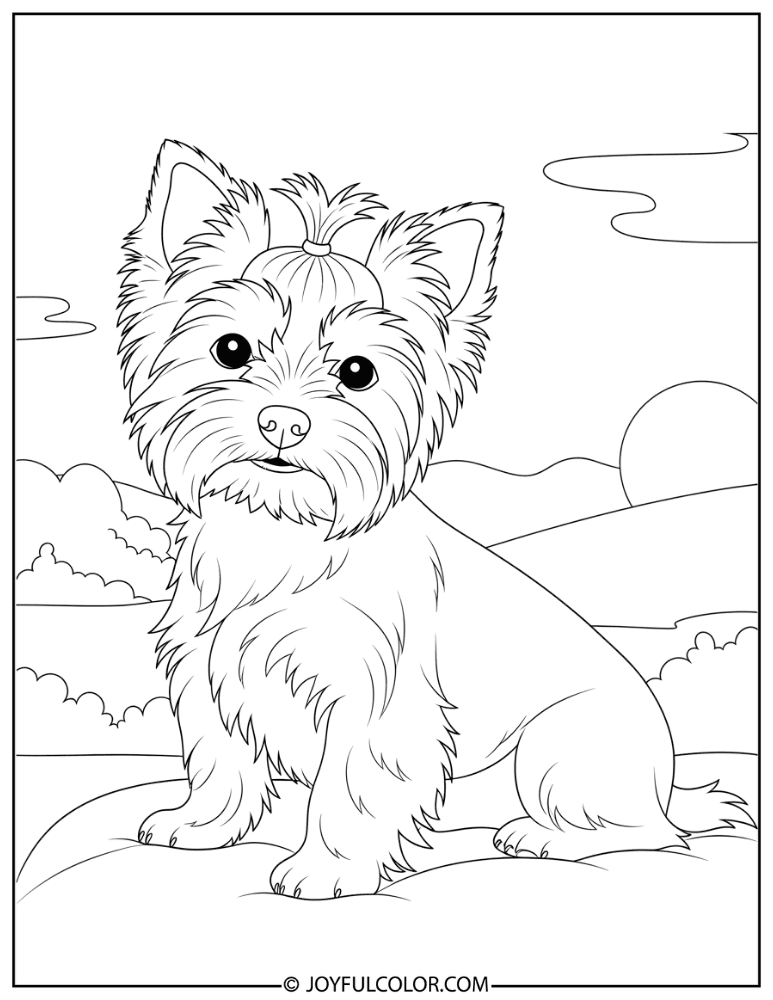 Yorkie Sitting on Lap Coloring Page