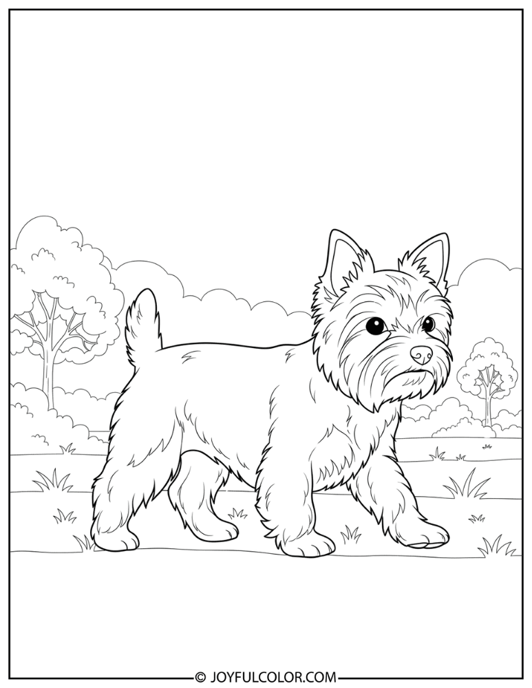 Yorkie Walking Outside Coloring Page