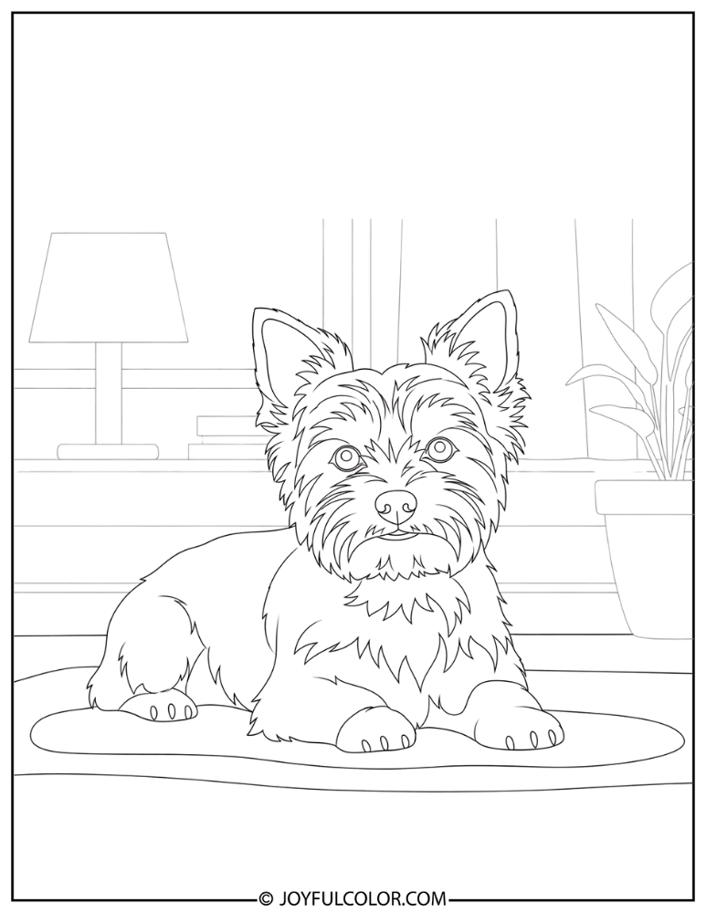 Yorkie at Home Coloring Page