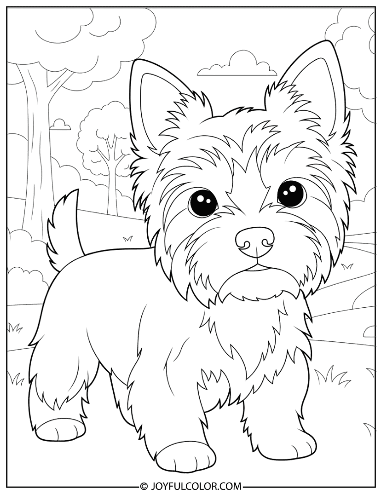Yorkie in Park Coloring Page
