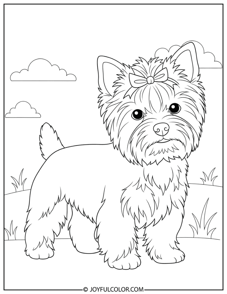 Yorkie with Bow Coloring Page