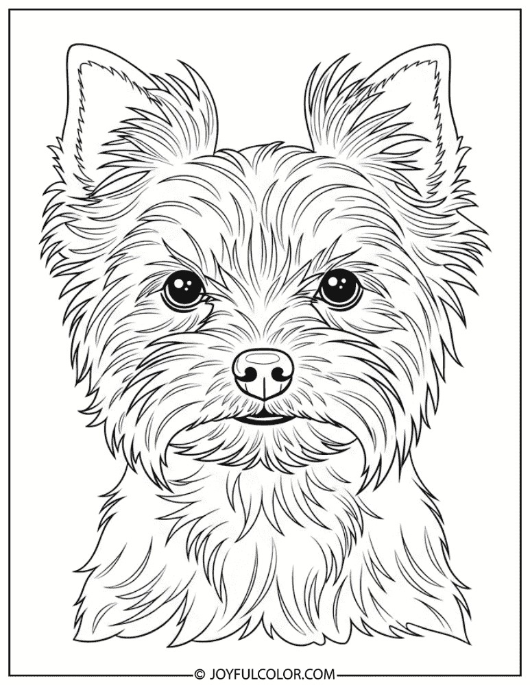 Yorkie with Messy Hair Coloring Page