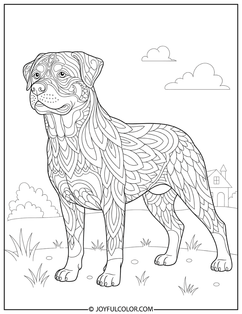 Zentangle Rottweiler Coloring Page