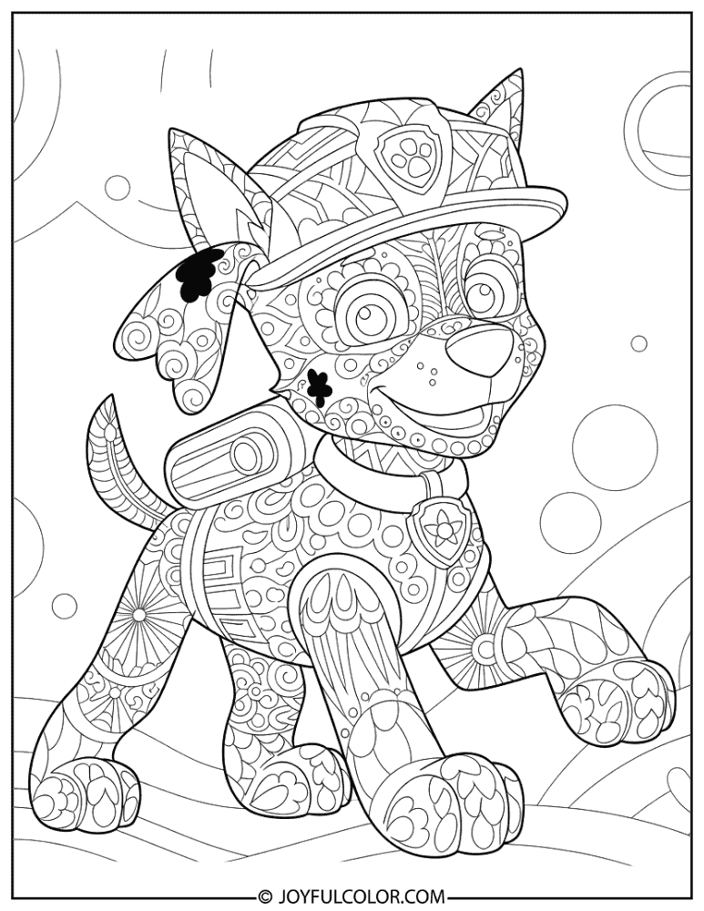 Zentangle Zuma