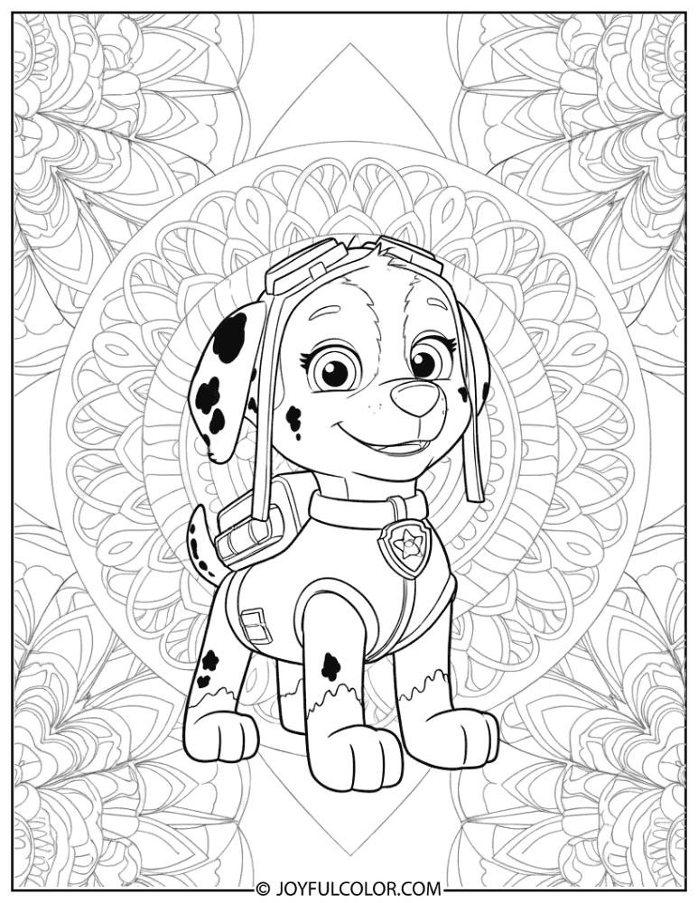 Zuma Mandala Art