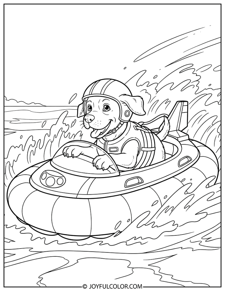 Zuma Navigating the Sea