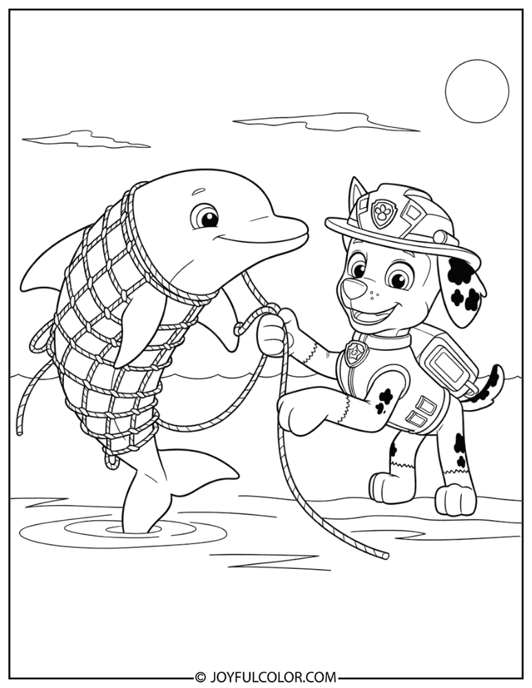 Zuma Rescuing a Dolphin