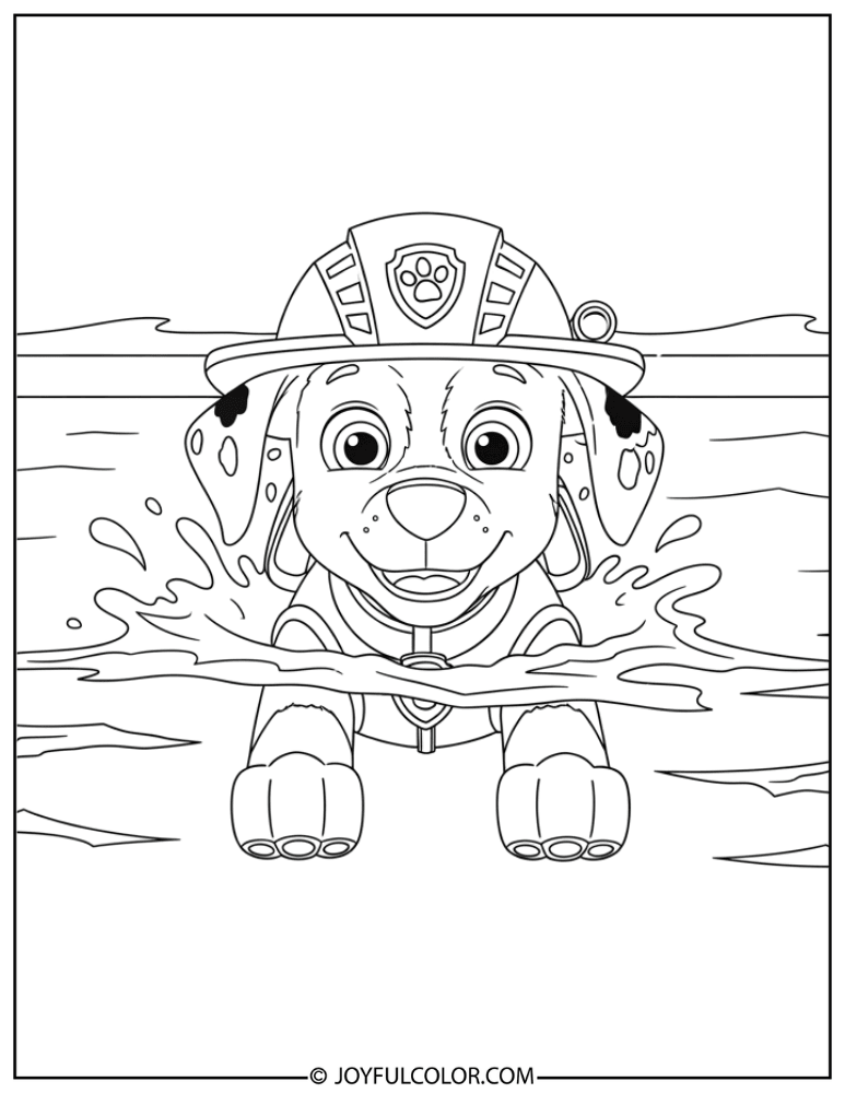 Zuma Swimming in the Ocean