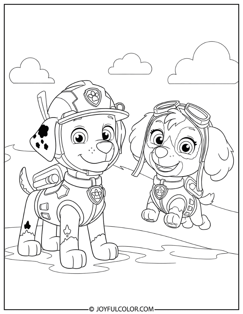 Zuma and Skye