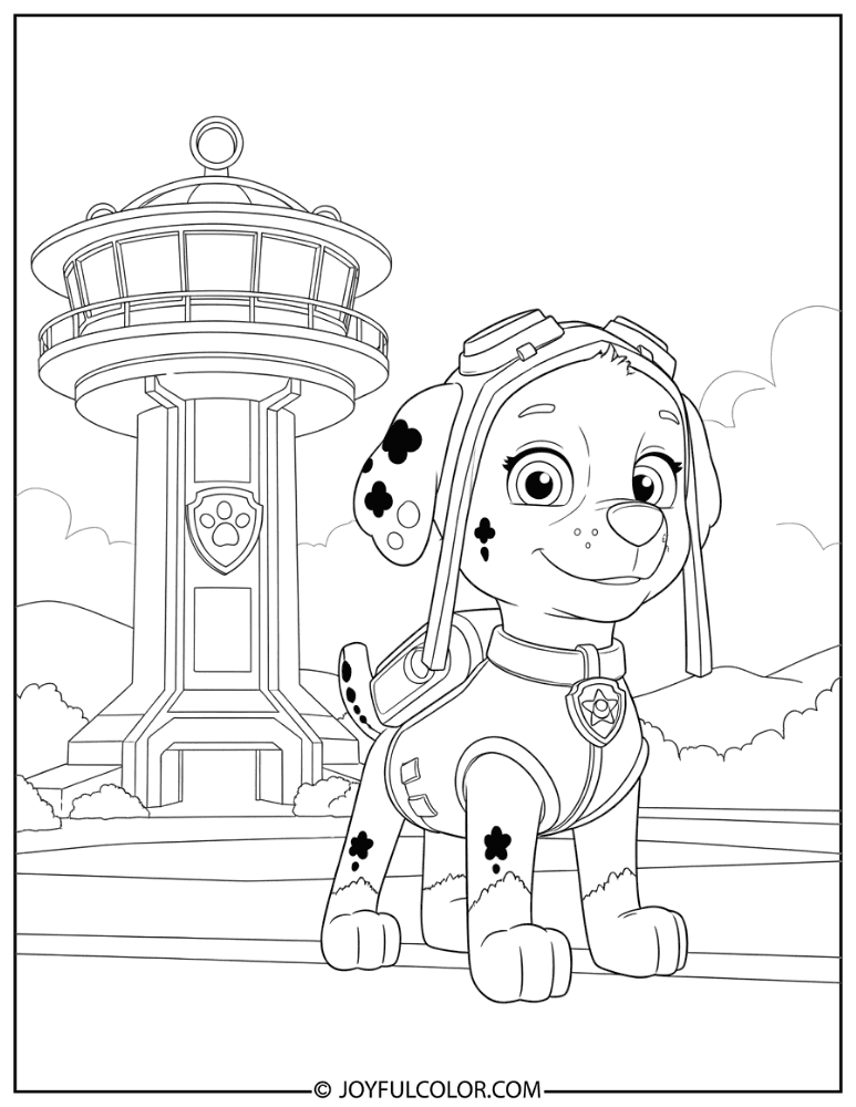 Zuma at the Lookout Tower