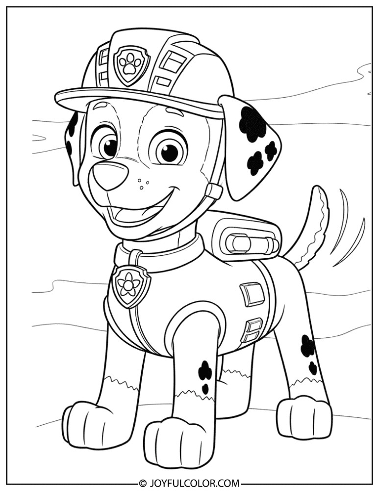 Zuma with Paw Patrol Badge